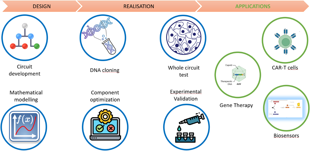 Biotecnologia Sintetica