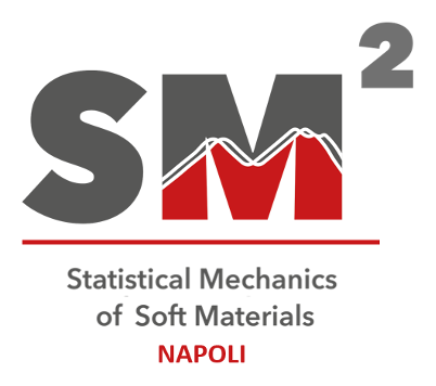 Statistical Mechanics of Soft Materials group – SM2