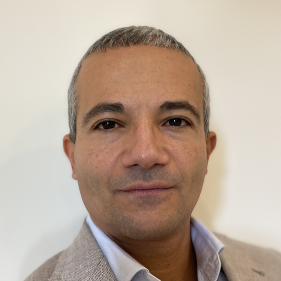 Prof. Gaetano D'Avino