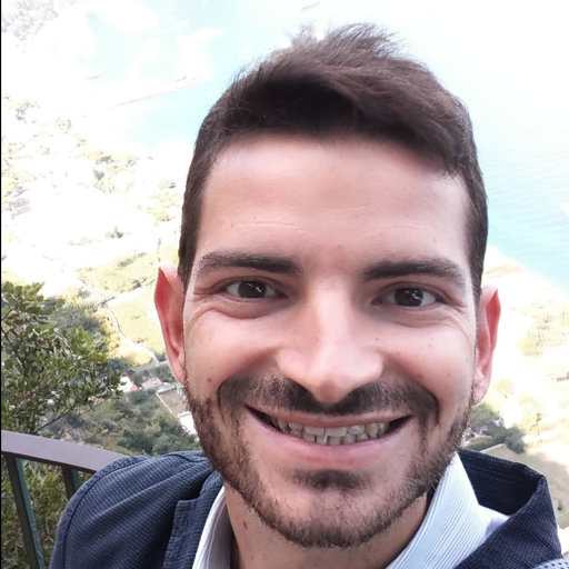 Prof. Maurizio Troiano