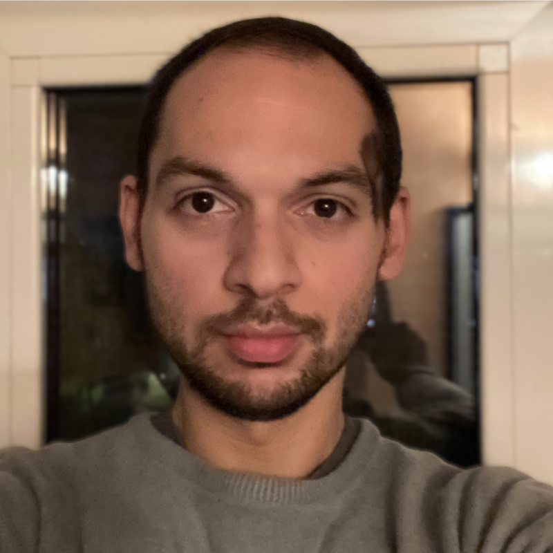 Prof. Massimiliano Villone